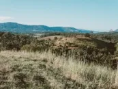 Explore the lush, rolling hills and tranquil scenery of Nimbin, NSW, Australia under a clear blue sky.